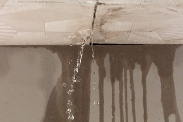 Professional Structural Drying technician working in Little Hocking, OH